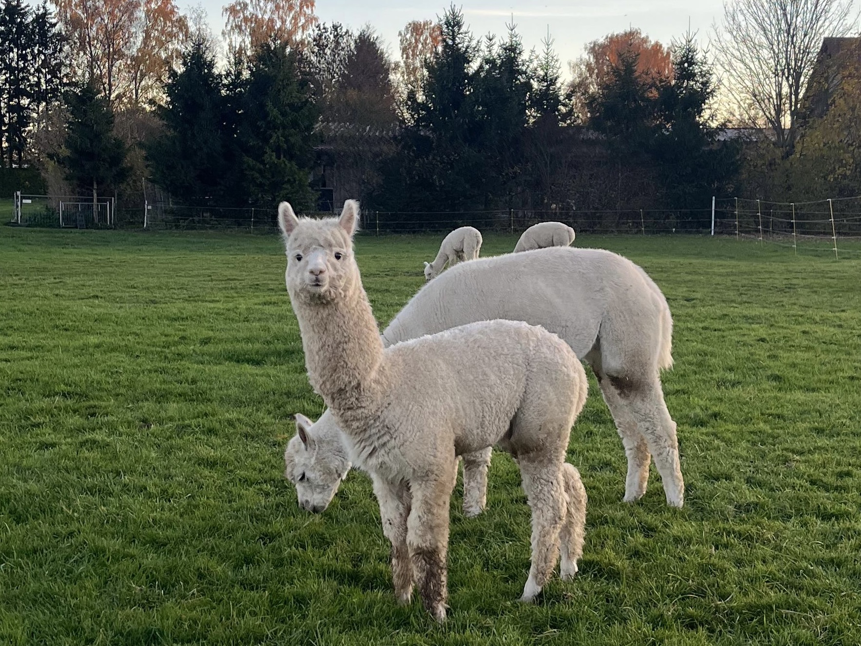 1a4e5dcc-27c1-46ec-9e18-5798ca8b0547